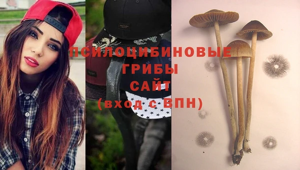 винт Приозерск